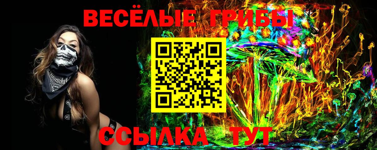 Галлюциногенные грибы GOLDEN TEACHER Кострома